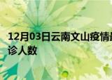 12月03日云南文山疫情最新确诊数据及文山此次疫情最新确诊人数