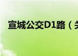宣城公交D1路（关于宣城公交D1路介绍）
