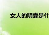 女人的阴囊是什么部位（女人的阴囊）