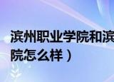 滨州职业学院和滨州学院哪个好（滨州职业学院怎么样）
