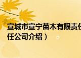 宣城市宣宁苗木有限责任公司（关于宣城市宣宁苗木有限责任公司介绍）