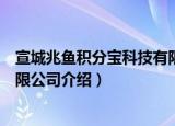 宣城兆鱼积分宝科技有限公司（关于宣城兆鱼积分宝科技有限公司介绍）