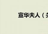 宣华夫人（关于宣华夫人介绍）