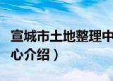 宣城市土地整理中心（关于宣城市土地整理中心介绍）