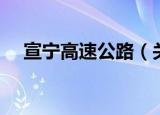 宣宁高速公路（关于宣宁高速公路介绍）