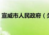 宣威市人民政府（关于宣威市人民政府介绍）
