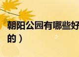 朝阳公园有哪些好玩的（朝阳公园有什么好玩的）