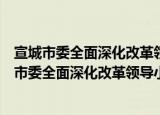 宣城市委全面深化改革领导小组第七次全体会议（关于宣城市委全面深化改革领导小组第七次全体会议介绍）