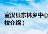 宣汉县东林乡中心校（关于宣汉县东林乡中心校介绍）