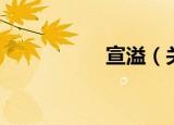 宣溢（关于宣溢介绍）