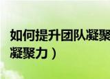 如何提升团队凝聚力与幸福感（如何提升团队凝聚力）