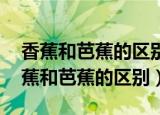 香蕉和芭蕉的区别 轻松辨别香蕉和芭蕉（香蕉和芭蕉的区别）