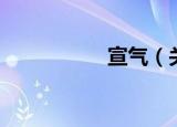 宣气（关于宣气介绍）
