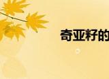 奇亚籽的功效（奇异子）
