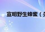 宣明野生蜂蜜（关于宣明野生蜂蜜介绍）