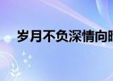 岁月不负深情向晴免费（岁月不负深情）