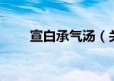 宣白承气汤（关于宣白承气汤介绍）