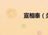 宣相泰（关于宣相泰介绍）