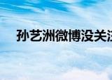 孙艺洲微博没关注李金铭（孙艺洲微博）