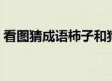 看图猜成语柿子和狗（疯狂猜成语狗和柿子）