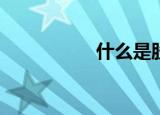 什么是股权分置改革？