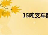 15吨叉车图片（15吨叉车）