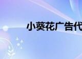 小葵花广告代言人（小葵花广告）