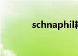 schnaphil精华（schnaphil）