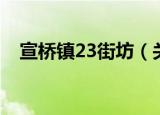 宣桥镇23街坊（关于宣桥镇23街坊介绍）