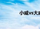小威vs大威（李娜vs小威）