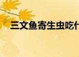 三文鱼寄生虫吃什么药（三文鱼 寄生虫）