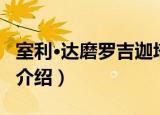 室利·达磨罗吉迦塔（关于室利·达磨罗吉迦塔介绍）