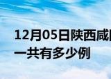 12月05日陕西咸阳疫情最新通报及咸阳疫情一共有多少例