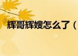辉哥辉嫂怎么了（辉哥辉嫂怎么被发现的）