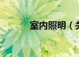 室内照明（关于室内照明介绍）