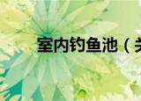 室内钓鱼池（关于室内钓鱼池介绍）
