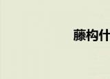 藤构什么科（藤构）