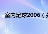 室内足球2006（关于室内足球2006介绍）