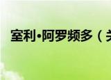 室利·阿罗频多（关于室利·阿罗频多介绍）