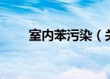 室内苯污染（关于室内苯污染介绍）