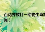 百花齐放打一动物生肖梦见四轮马车（百花齐放打一动物生肖）