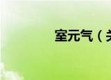 室元气（关于室元气介绍）