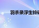 羽杀录浮生铃破解版金手指（羽杀）