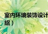 室内环境装饰设计（关于室内环境装饰设计介绍）