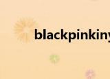 blackpinkinyouarea是什么意思