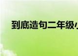 到底造句二年级小学（到底造句二年级）
