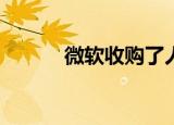  微软收购了人工智能的语义机器