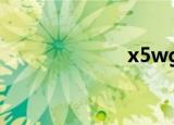 x5wgz（x5wg）