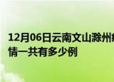 12月06日云南文山滁州疫情总共确诊人数及文山安徽滁州疫情一共有多少例