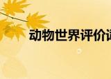 动物世界评价词语（动物世界评价）